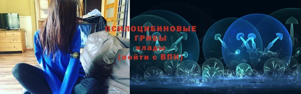 прущие грибы Ладушкин