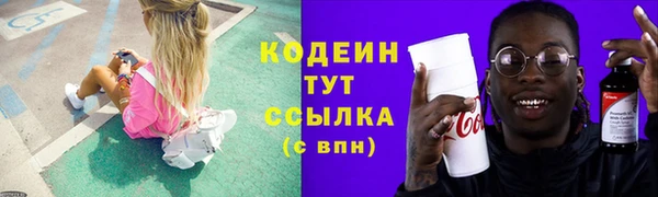 МДПВ Кукмор