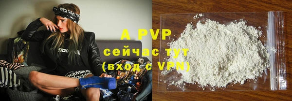 прущие грибы Ладушкин