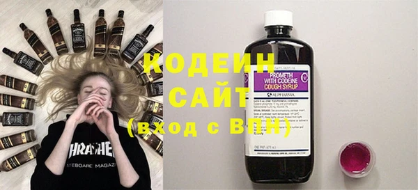 прущие грибы Ладушкин