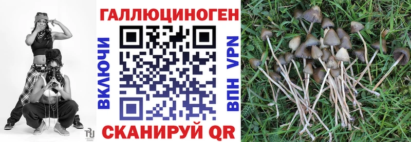 Купить закладки  Лысьва  Псилоцибиновые грибы GOLDEN TEACHER 